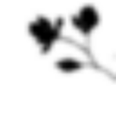 Beauty by Kramer logo