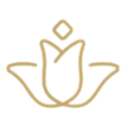 IS Aesthetic Care logo