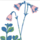 Karolines Kropsterapi logo