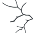 LNT-Negle og skønhed logo