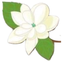 Mali Thai Massage logo