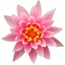 Singburi Thai Wellness logo