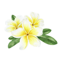 Thai Lanna Wellness v/Nutsinee Pongsirithanakul logo