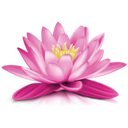 Wan Thai Wellness logo